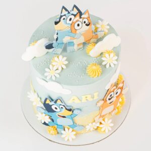 TWO-TONE CUSTOMIZABLE CAKE – CHOOSE YOUR THEME!